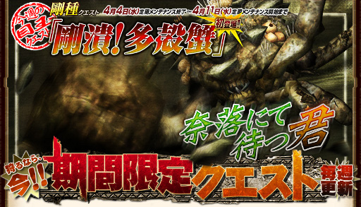 ꡼ No.004Υͥ / MHFס⥤٥ȡ50ͺססĶͽΡפʤɤγפ