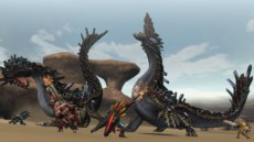 ꡼ No.004Υͥ / MHFץե.4κǿ󤬸륻ץ2ƬƱĥȤͻҤ俷ð۸Υ󥹥λѤࡼӡǳǧ褦