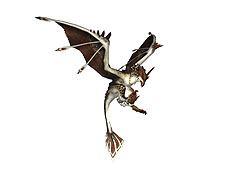 画像ギャラリー No.017のサムネイル画像 / 「MHF」フォワード.4の最新情報が公開。クアルセプス2頭同時狩猟クエストの様子や新特異個体モンスターの姿をムービーで確認しよう