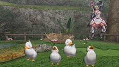 ꡼ No.027 | MHF׽γε륻ץ˲äĤˡȴɤо졽֥ե.4 ȹŷӤν֤ɡפˤĤơȵܲ˥󥿥ӥ塼