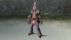 ꡼ No.066 | MHF׽γε륻ץ˲äĤˡȴɤо졽֥ե.4 ȹŷӤν֤ɡפˤĤơȵܲ˥󥿥ӥ塼