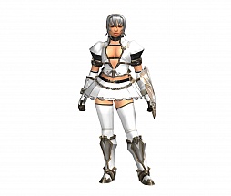 ���������꡼ No.007�Υ���ͥ������ / ��MHF�ס��������Υ�󥹡ȹ�Ŵ����������ɤ��������ֹ�Ŵ�θ���׼»�