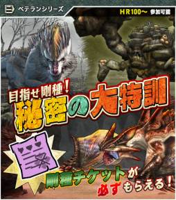 ���������꡼ No.006�Υ���ͥ������ / ��MHF�ס������ξڡɤ����̤˼������ǥ��꡼�������Ȥ��ۿ�