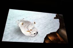 画像ギャラリー No.011のサムネイル画像 / 「モンスターハンター フロンティア オンライン」5周年記念イベントレポート。新たな5年のスタートとなる「MHF-G」が発表に