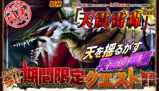 ꡼ No.006Υͥ / MHFפΥ٥ȡƼ Ϣ³޷4ƤǡƼɥ饮ɤо