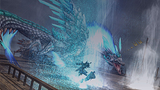 ꡼ No.015Υͥ / MHF-Gס֥աס֥쥤աפ֤ʬࡼӡֶ˸ȲפƼGɶο