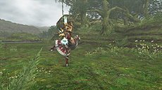 ꡼ No.006Υͥ / MHFפGGʥ֥른˥åץǡȺǿζξܺ٤֥ۤץߥॳݥ3ܥڡפʤɳƼƤ餫