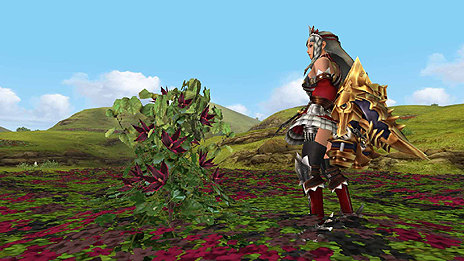 ꡼ No.018Υͥ / MHFפGGʥ֥른˥åץǡȺǿζξܺ٤֥ۤץߥॳݥ3ܥڡפʤɳƼƤ餫