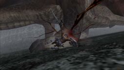 ������#005�Υ���ͥ���/��MHF-G�סߡֿʷ�ε�͡פ����ߥ����Ȥǥ�������ξ��󤬸���