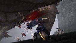 ������#006�Υ���ͥ���/��MHF-G�סߡֿʷ�ε�͡פ����ߥ����Ȥǥ�������ξ��󤬸���