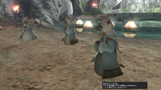 ꡼ No.005Υͥ / ֥󥹥ϥ󥿡 եƥGפо줹ȲɱɤξҲࡼӡˡ֥ϥ󥿡ʥӡפˤϿɸɲ