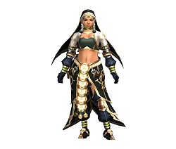 ���������꡼ No.005�Υ���ͥ������ / ��MHF-G�ס���6��֥ѥ�������Һספ�»ܡ���G�鵻����郎�о�