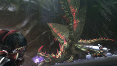 ꡼ No.018Υͥ / ֥󥹥ϥ󥿡 եƥGפȥ˥ַ ˡޤɤޥפΥܤ1120˥ȡϥˡãä