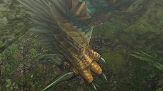 ꡼ No.034 | ֥󥹥ϥ󥿡 եƥG緿åץǡȡG8פǼĲؤȤʤ֥Хפȡ֥󥪥פ֤