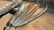 画像ギャラリー No.022のサムネイル画像 / 「MHF-G」遷悠種「ジンオウガ」の狩猟条件が明らかに。天廊石の入手手段が増える「天廊・第二区」の情報も