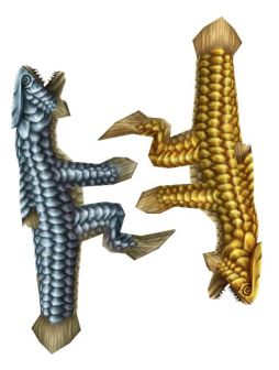 ꡼ No.019Υͥ / MHF-Zפǿ󥹥éۼ륳ǥפƤȲ