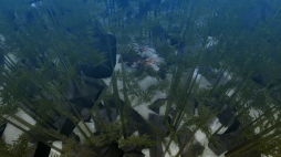 ꡼ No.017Υͥ / MHF-Zס󥹥éۼ磻ʥߡפо졣ƤȲٱ祤٥ȤŤ