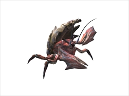 Pr 年末年始の モンスターハンター フロンティアz は蟹狩りで決まり シリーズクエストをクリアしてリアルの蟹を手に入れよう