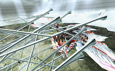 ꡼ No.019 | MHF-Zסåץǡȡȴ෢ࡤȤȿɤ2019ǯ130˼»ܡ󥹥ʤɤҲ𤹤ץӥ塼Ȥ