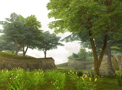 ꡼ No.006 | YNK JAPANοMMORPG81keysסCMࡼӡ䥤᡼饹ȡ꡼󥷥åȤʷϵå