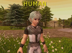 ꡼ No.013Υͥ / MMORPG81KeysסʪνϤܥʥꥪǸ档ȡ꡼μ缴Ȥʤ²֥ҥ塼ޥפξܺ٤餫