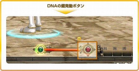 ꡼ No.002Υͥ / 81Keysס1500ꥪץ¥ƥȤϡ碌Ƽ줿DNAθץƥϡɤǽϤƤΤ