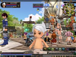 ꡼ No.003Υͥ / 81KeysסOBTΤֿ쥯ȡפ򥪡ץ514163֡2000GMˤ鿴Թֽ򳫺