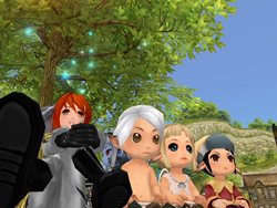 ꡼ No.004Υͥ / 81KeysסOBTΤֿ쥯ȡפ򥪡ץ514163֡2000GMˤ鿴Թֽ򳫺