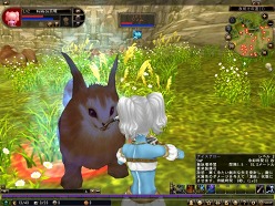 ���������꡼ No.011�Υ���ͥ������ / ��81Keys�׿���²���ꥢ�����ܿ��ֳ�±�פ�����������6���ȤȤ�