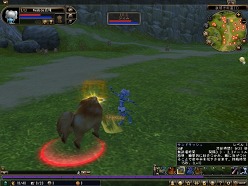 ���������꡼ No.012�Υ���ͥ������ / ��81Keys�׿���²���ꥢ�����ܿ��ֳ�±�פ�����������6���ȤȤ�