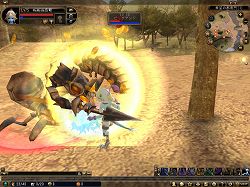 ���������꡼ No.013�Υ���ͥ������ / ��81Keys�ס�����²���ꥢ��1�������Ȥ��륹������������