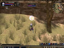 ���������꡼ No.020�Υ���ͥ������ / ��81Keys�ס�����²���ꥢ��1�������Ȥ��륹������������