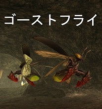 ���������꡼ No.009�Υ���ͥ������ / ��81Keys�ס�10��27�����о�ͽ��ο��ޥåסȳ�����ƶ���ɤȤ�