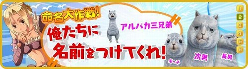 ���������꡼ No.003�Υ���ͥ������ / ��81Keys�ס��������åץǡ��ȤǼ����������ء������ʤ�ë�ɤȤ�