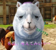 ���������꡼ No.005�Υ���ͥ������ / ��81Keys�ס��Ȥ������饸��å������£��ʪ�ɤ�5���ָ���ǳ���