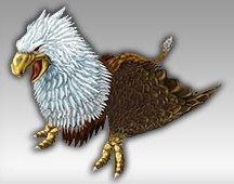 ꡼ No.005Υͥ / 81Keys19о줹ȥåγϰҲ