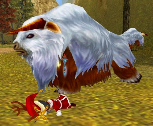 ꡼ No.005Υͥ / 81Keys119˼ȥˡ뻳̮ɤξ󤬸