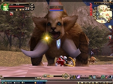 ꡼ No.007Υͥ / 81Keys׼󥢥åץǡȤǼޥåס󥹥