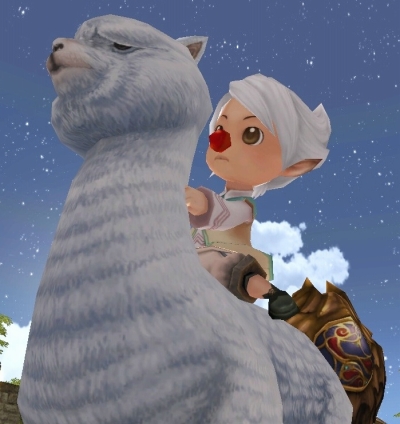 ꡼ No.003Υͥ / 81KeysץץХiNEXTפȥåס鿴Թֽ񤬼»