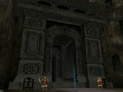 ꡼ No.015Υͥ / 81Keys׿緿󥸥󡤥ͤ