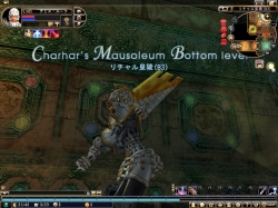 ꡼ No.013Υͥ / 81KeysױĤιͤκǿ