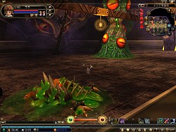 ꡼ No.008Υͥ / 81Keysפο󥸥֥ʥɹפо줹󥹥Ҳ