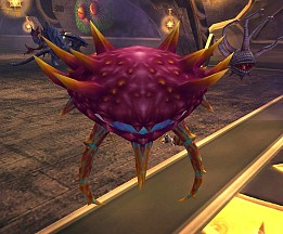 ꡼ No.012Υͥ / 81Keysפο󥸥֥ʥɹפо줹󥹥Ҳ