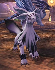 ꡼ No.017Υͥ / 81Keysפο󥸥֥ʥɹפо줹󥹥Ҳ