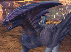 ꡼ No.022Υͥ / 81Keysפο󥸥֥ʥɹפо줹󥹥Ҳ