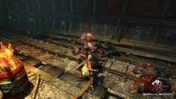 ꡼ No.009Υͥ / Υ󥿡åƥ󥰥ХȥMORed Blood OnlineסȯСΥץ쥤ࡼӡ