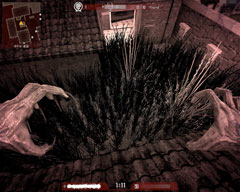 ꡼ No.011 | AVAפ˼ȵäɤΤ褦ʿ⡼ɡThe INFECTIONפθݡ