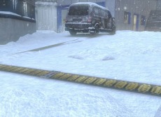 ꡼ No.007Υͥ / Alliance of Valiant Armsס˥ߥåοޥåסWHITE OUTפ俷ʽ饯ʤɤ