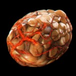 ���������꡼ No.013�Υ���ͥ������ / ��AVA�ס������Ԥ��臘���ޥåס�AWAKEN�פ��о졣������ǰ���٥�Ȥ⥹������