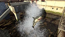 ꡼ No.002 | Alliance of Valiant Armsס͢˥ߥåѤοޥåסSHARKפ820˼åץǡȤߥȤ⥪ץ